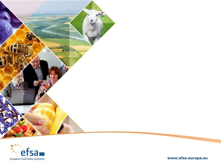 Results from the EFSA/FAO/WHO workshop on the evaluation of the IESTI equation plus