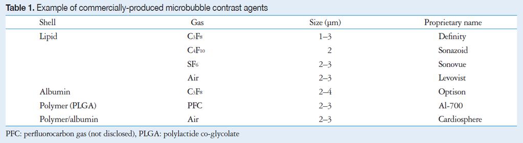 Contrast agents for ultrasound The first generation agents : air bubbles stabilized by encapsulation (Albunex) or by adherence to microparticles (Levovist).
