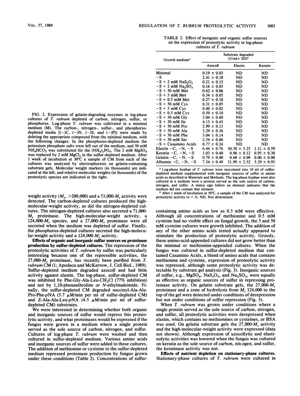 l_s"i 3 i VOL. 57, 1989 REGULATION OF T. RUBRUM PROTEOLYTIC ACTIVITY 3085 -.*- X - - 12 FIG. 2. Expression of gelatin-degrading enzymes in log-phase cultures of T.