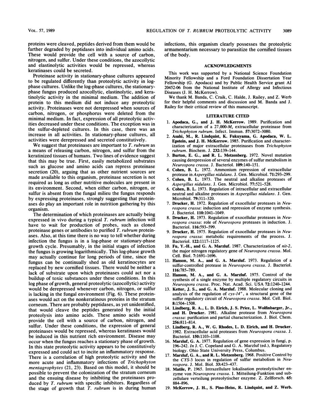 VOL. 57, 1989 REGULATION OF T. RUBRUM PROTEOLYTIC ACTIVITY 3089 proteins were cleaved, peptides derived from them would be further degraded by peptidases into individual amino acids.
