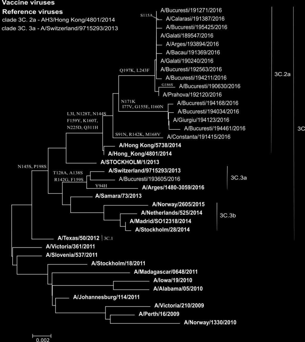 Compararea filogenetica a genelor HA ale virusurilor