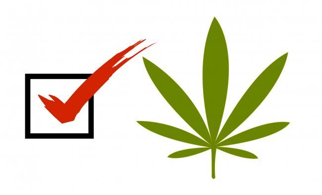 2016: Access to Cannabis for Medical Purposes Regulations
