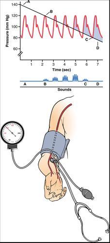 Objectives: Blood Pressure Regulation-1 Outline the short term and long term regulators of BP.