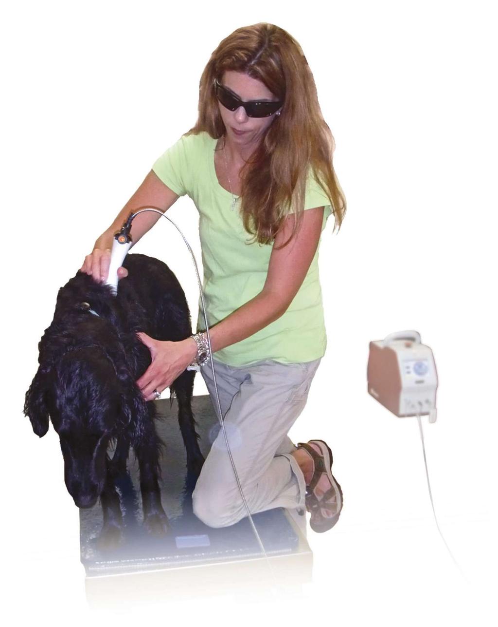 Peer reviewed Rehab RX early rehabilitation: Modalities and exercises Debbie Gross Saunders, DPT, MSPT, CCRP, Diplomate ABPTS Read Pain Assessment in Dogs & Cats (March/ april 2012, available at