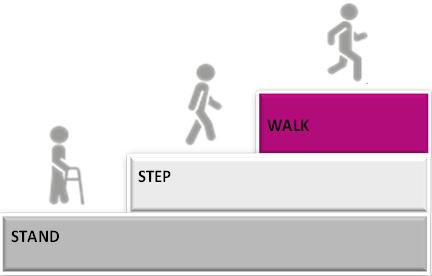 One leg stance Walk FAC level 1 (with BWS) FAC level 3 - Gait - Gait adaptability The intake phase serves to determine the start level for the patient, categorized in Stand,