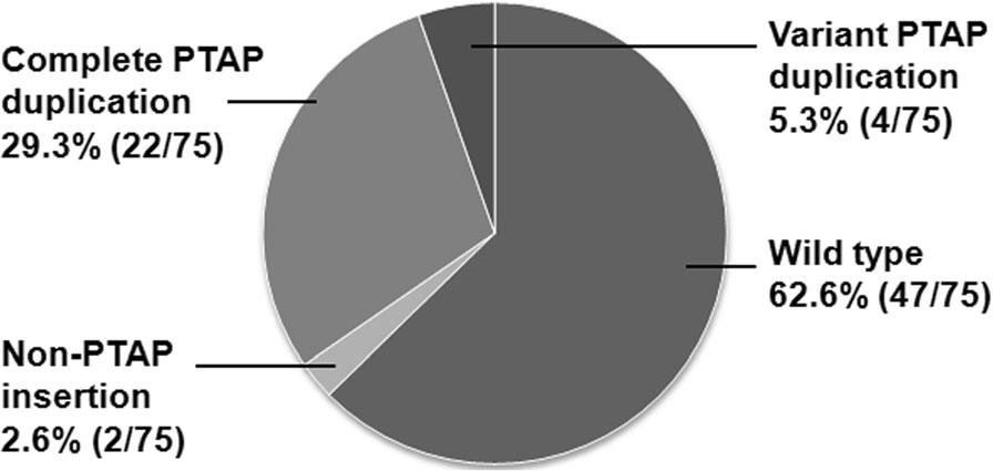 Sharma et al. BMC Infectious Diseases (2017) 17:95 Page 16 of 19 Fig. 7 The pie chart depicts the profile of the sequence insertion in Gag p6 of the CAPRISA cohort.