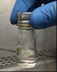 collected sample in sterile container or VTM [for throat