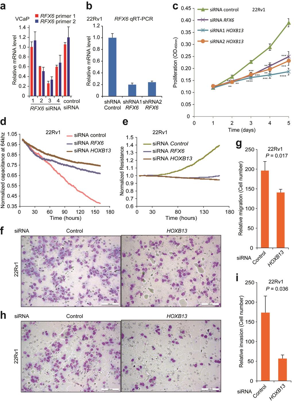 Supplementary Figure 10: The transcription factor gene RFX6 and HOXB13 influence cellular phenotypes related to tumor-associated properties in prostate cancer cells.