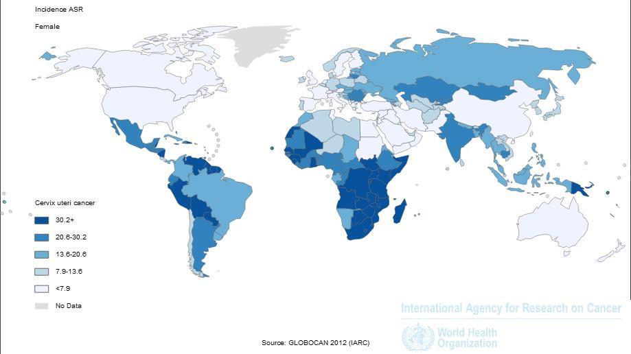 Worldwide cervical cancer incidence 2012 fourth most common cancer worldwide for females seventh