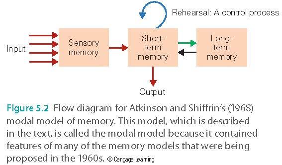 Executive Attention & Working Memory Memory 1 Some Questions to Consider (over the next few weeks) Why can we remember a telephone number long enough to place a call, but then we forget it almost