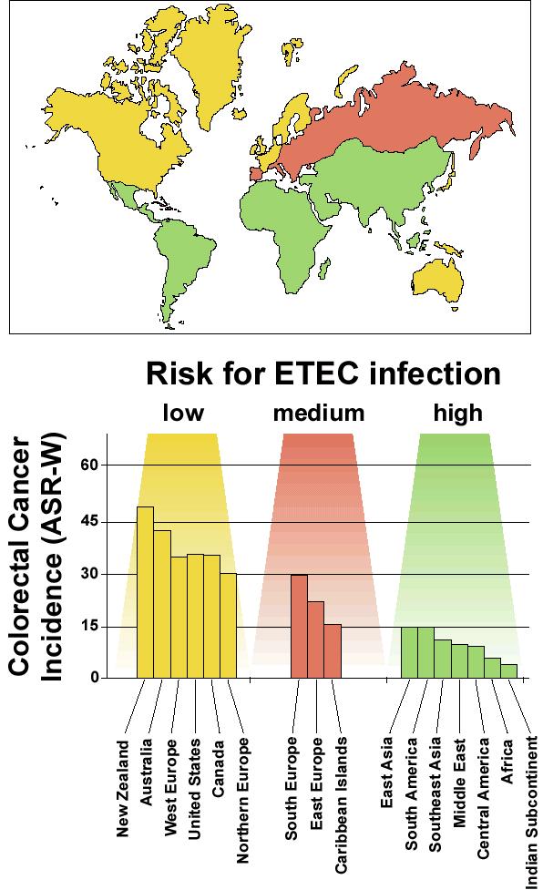 ETEC Infections Confer Resistance to Colon Cancer