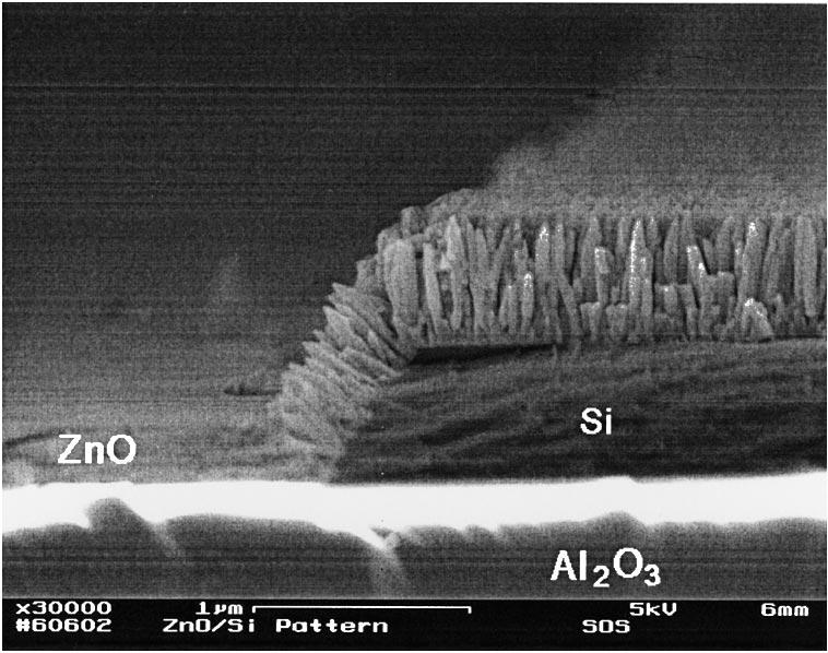MUTHUKUMAR et al.: SELECTIVE MOCVD GROWTH OF ZnO NANOTIPS 53 Fig. 7. FESEM image of selective growth of ZnO nanotips grown on silicon-on-sapphire (SOS) substrate. A resistivity of 3.