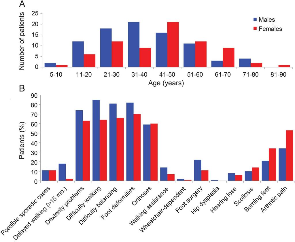 Figure 2 Age, sex, and clinical characteristics of patients with CMTX1 in the cohort (A) Frequency distribution of age and sex of patients with CMTX1 at the age they were first given a CMTNS in an