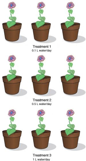 Figure 3. In this instance, the experimenter has replicated by having three plants per treatment group.