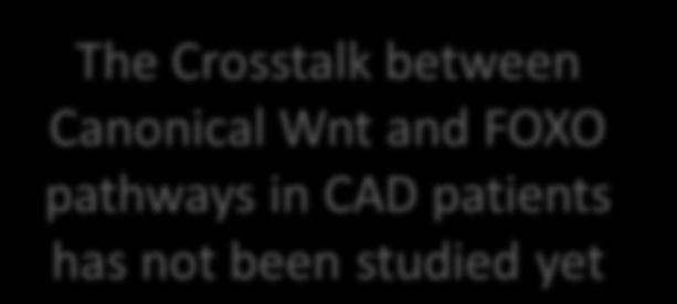 have a role in pathogenesis of CAD (which The