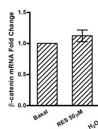 Within Group Comparison: Effects of RES on β-catenin mrna expression Healthy