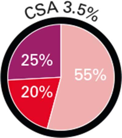 4. OSA plus three categories of CompSA were identified: Emergent, transient, and persistent CSA Similar trends were observed when day by day values of CAI and AHI over the first 2 weeks of therapy