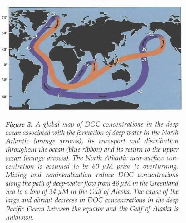 Basin-scale gradients in deep ocean DOC concentrations: slow