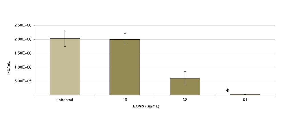 In order to determine if the EOMS exposure affects the chlamydial infectivity, infected cell monolayers were incubated with different concentrations of EOMS for 48 hours and were repassaged onto