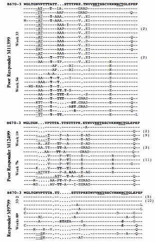 Figure 4.7. Amino acid sequence alignment of the envelope V1 region from untreated and PMPA-treated animals.