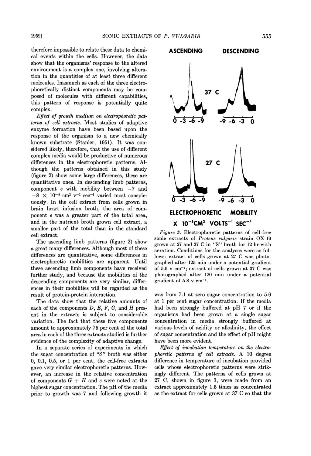 1959] SONIC EXTRACTS OF P. VULGARIS 555 therefore impossible to relate these data to chemical events within the cells.