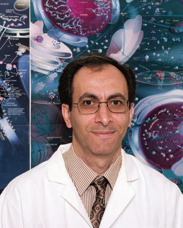 Natik Piri, PhD Associate Professor of Ophthalmology Member of the Jules Stein Eye Institute Research Summary Biochemistry and Molecular Biology of Retinal Ganglion Cells; Mechanisms of Retinal