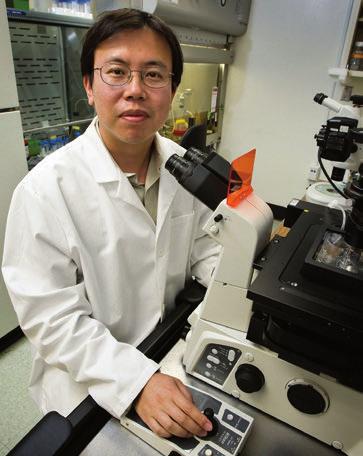 Hui Sun, PhD Associate Professor of Physiology and Ophthalmology Member of the Jules Stein Eye Institute Research Summary Molecular Mechanism of Vitamin A Transport for Vision; Identification of New