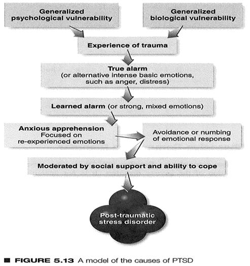 social support CBT highly effective Modelling (+1)