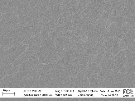 9 % (w/w) SEM image of EPS/Chitosan films Surface Cross-section Transparency Contact angle (º)