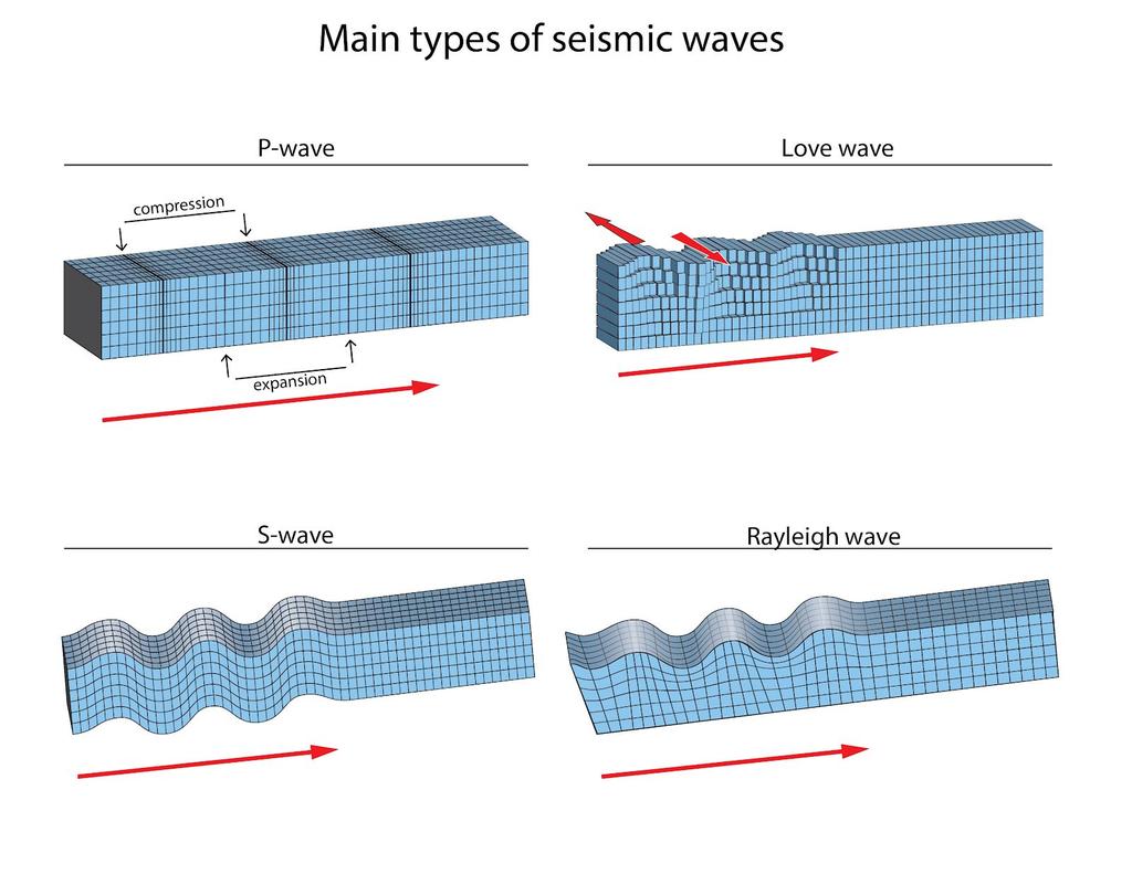 each type of wave are shown in Figure 1 below. Figure 1. The four main types of seismic waves.