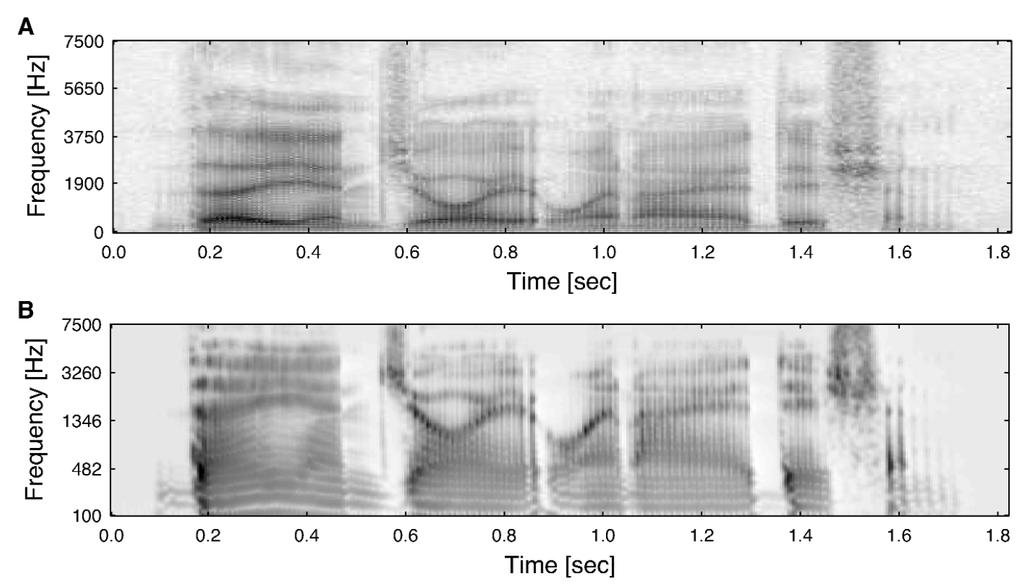 Speech Spectrograms WIDEBAND NARROWBAND Taken from: Holmes, J. N., & Holmes, W.