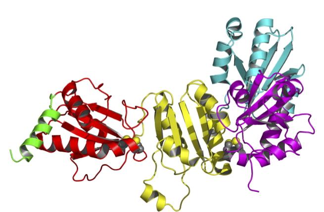 ER in transport proteinov proteini, ki ostanejo v ER vsebujejo