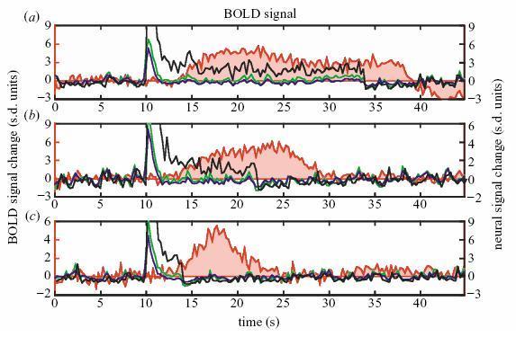 Neural activity and BOLD The BOLD signal reflects the firing of neural populations such as a strong correlation exists between the BOLD amplitude and local field potentials data