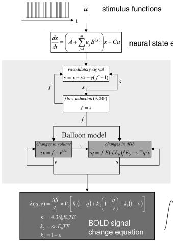 BOLD is a non-linear function of rcbf stimulus function neural state equation hemodynamic