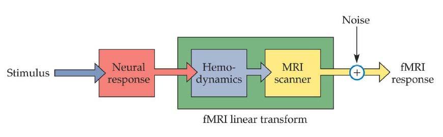 Can we approximate the HRF as a linear transform?