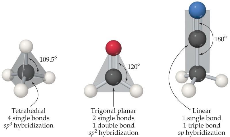 General Characteristics of Organic Molecules Carbon makes four bonds.
