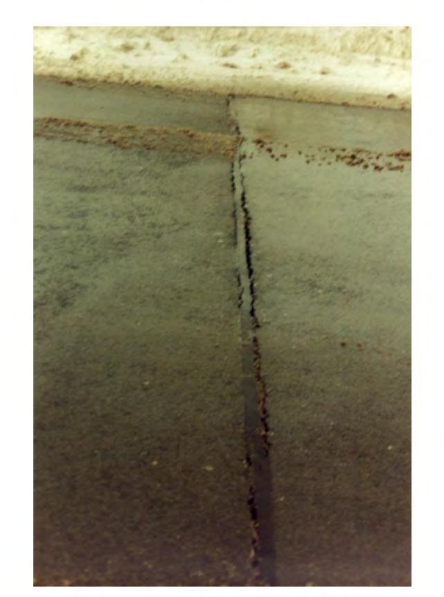 The gap inevitably opens up or widens in the winter season due to contraction and the edges of the asphalt pavements shows signs of separation from the sealing compound.