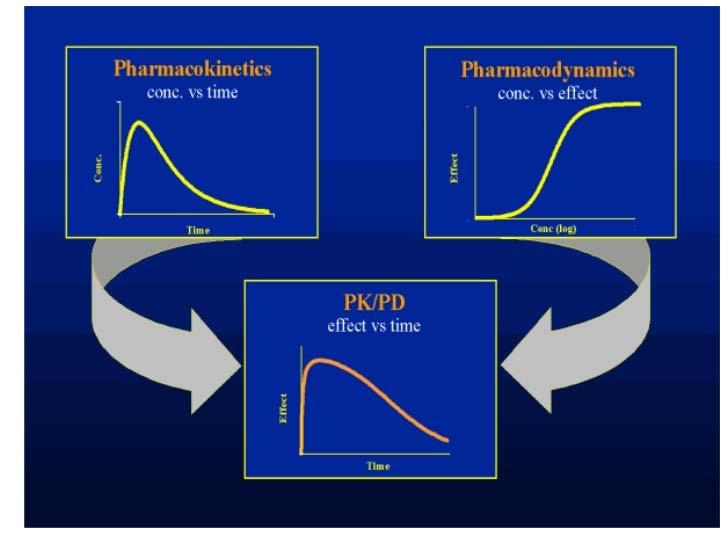 Pharmacokinetic-Pharmacodynamic Relationships are