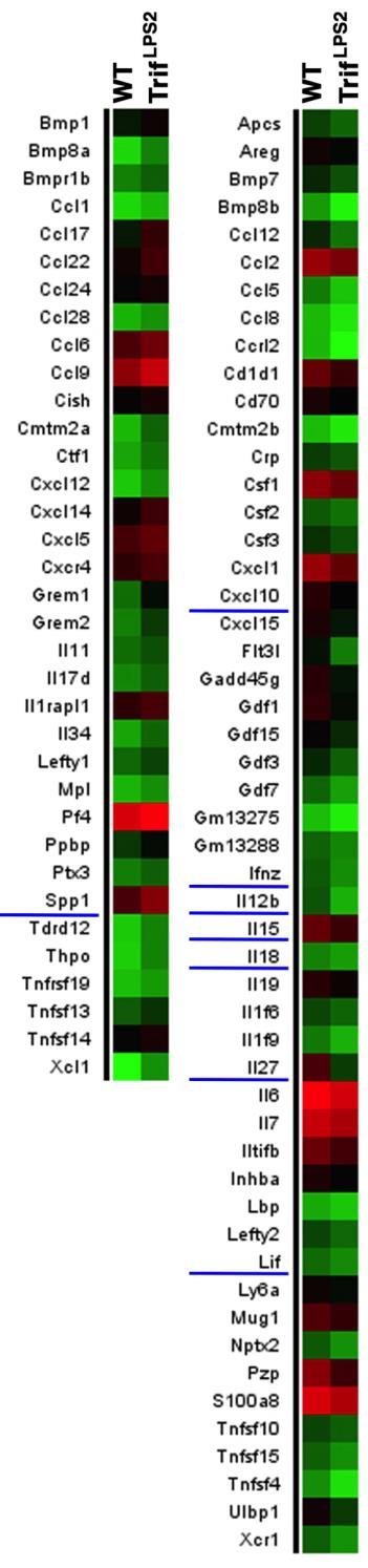 Trif LPS2 Mfs had an unique cytokine profile that supports Th17 cell differentiation 52