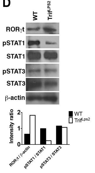 TRIF-dependent regulation of Th17 cell