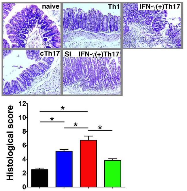 . IFN-g(+)Th17 cells (ex-th17 cells) are more