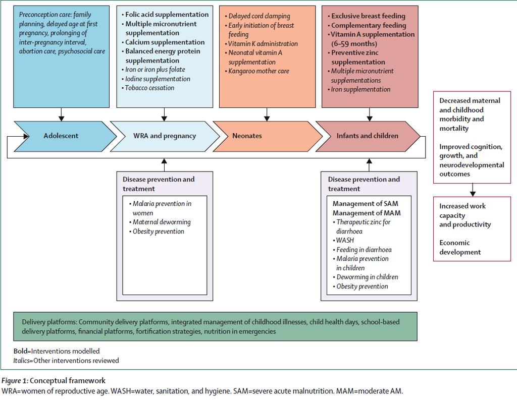 The Lancet s Series on Maternal and Child Undernutrition Executive Summary.