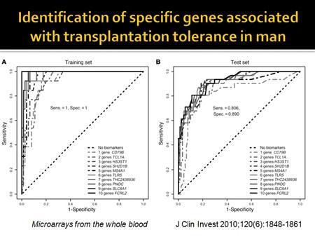 Slide 29 and this group clearly showed that in the peripheral blood there are several genes that are completely differently regulated compared
