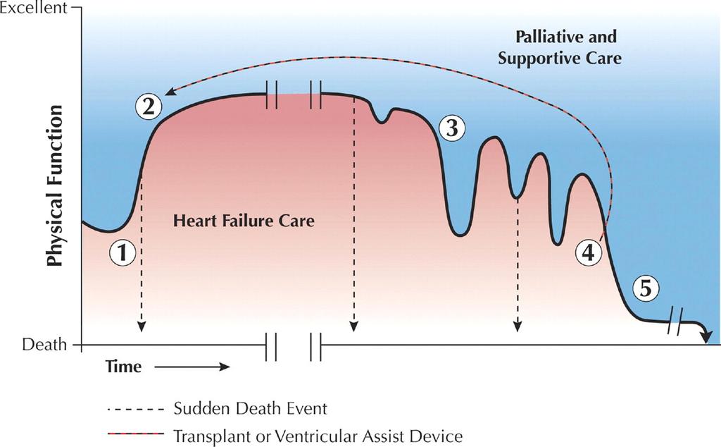 Schematic Depiction of Comprehensive Heart Failure Care Goodlin, S. J. J Am Coll Cardiol 2009;54:386-396 Copyright 2009 American College of Cardiology Foundation. Restrictions may apply.