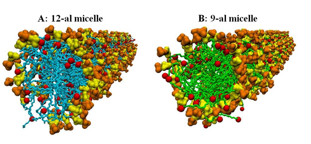 Figure S2. Snapshots of a 12-al micelle (A) and a 9-al micelle (B) viewed along the y-direction.