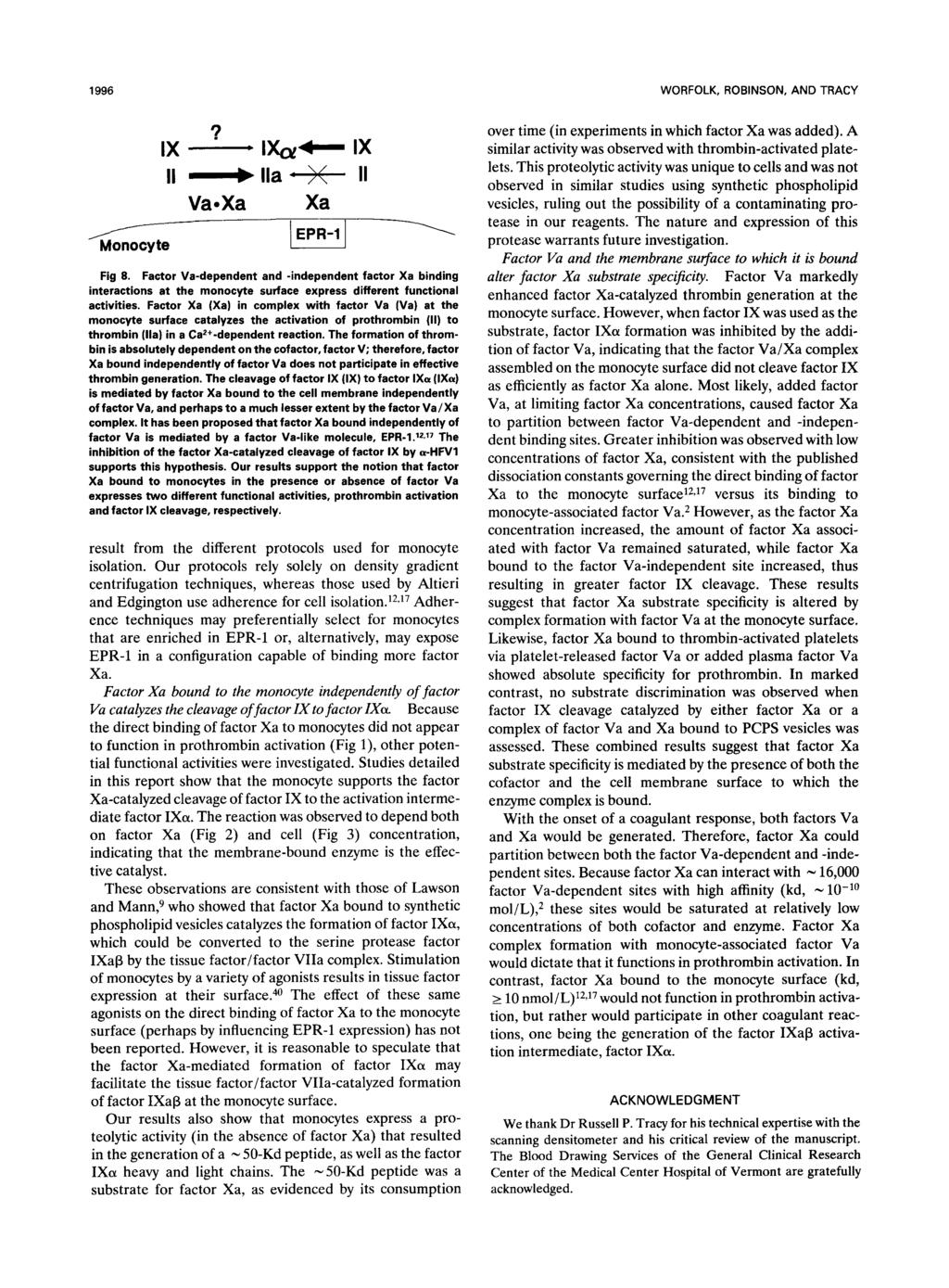 1996 WORFOLK, ROBINSON, AND TRACY VaaXa Xa Fig 8. Factor Va-dependent and -independent factor Xa binding interactions at the monocyte surface express different functional activities.