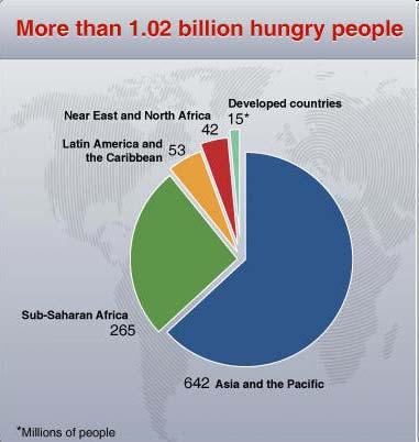 Undernutrition is still a problem More than 1.