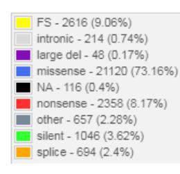 ) ~17% of mutations are nonsense or frameshift=> generally pathogenic (database!). ~2% are splice