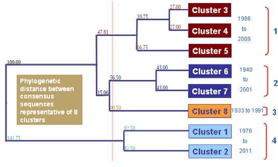 Strategy 1: Cluster-Based Consensus (CBC) Identification of most common amino acids at each position within and between H1N1 clusters followed by structure-guided