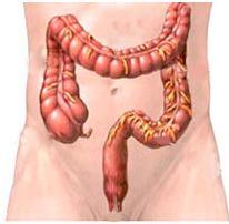 Bowel Cancer Screening is offered every 2 years to all men and